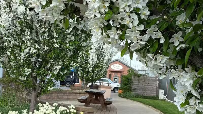 Pocket Park - Columbiana, OH