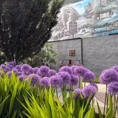 Pocket Park - Columbiana, OH