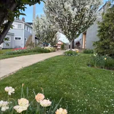 Pocket Park - Columbiana, OH