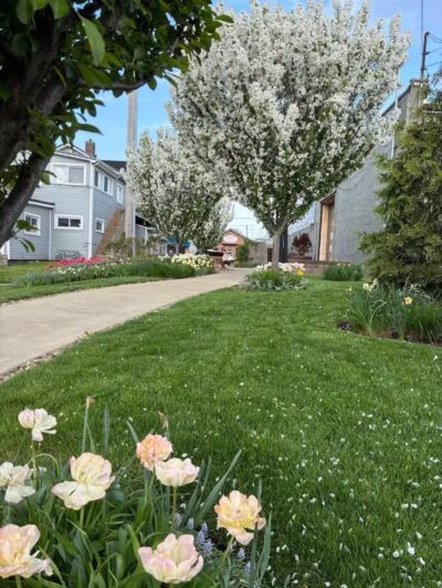 Pocket Park - Columbiana, OH