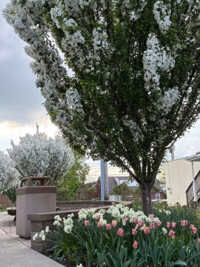 Pocket Park - Columbiana, OH