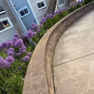 Pocket Park - Columbiana, OH