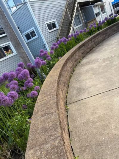 Pocket Park - Columbiana, OH