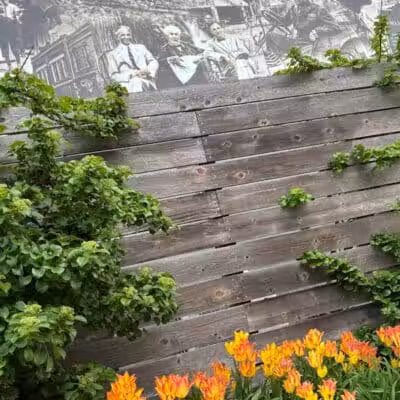 Pocket Park - Columbiana, OH