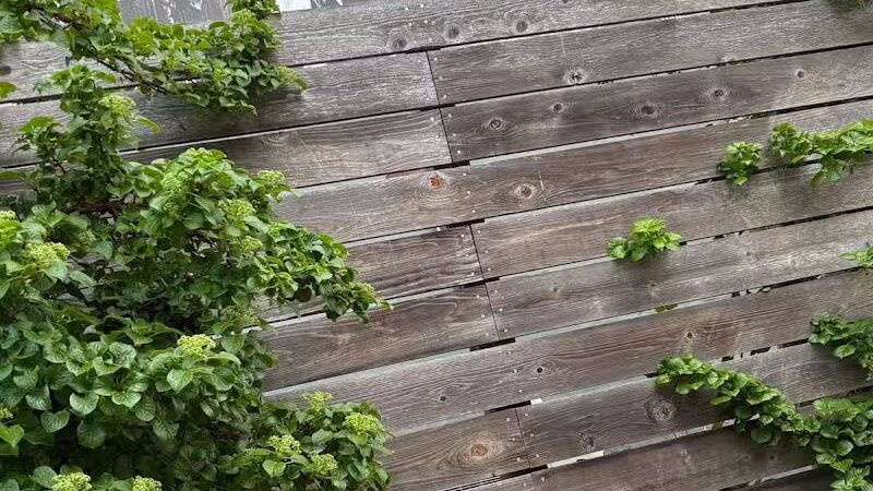 Pocket Park - Columbiana, OH