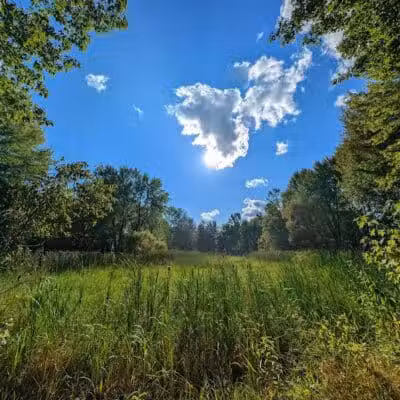 Walking Trail - Columbiana, OH