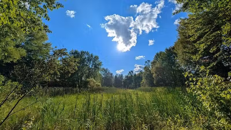 Walking Trail - Columbiana, OH