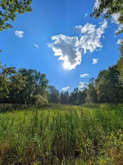 Walking Trail - Columbiana, OH