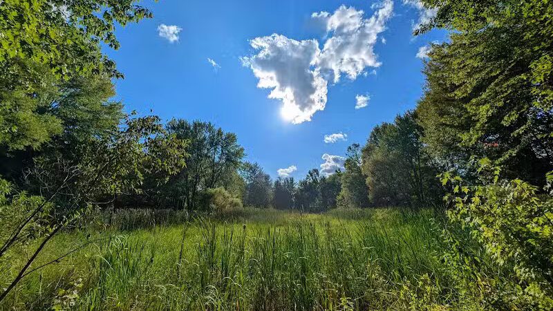 Walking Trail - Columbiana, OH