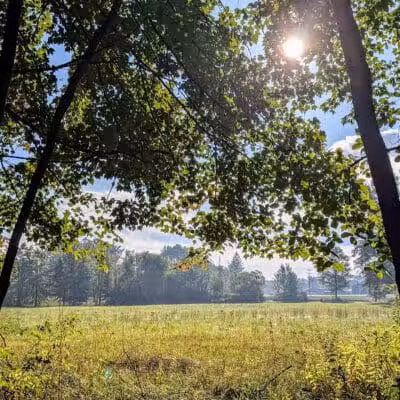 Walking Trail - Columbiana, OH