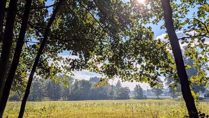 Walking Trail - Columbiana, OH