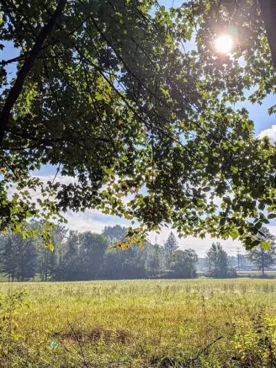 Walking Trail - Columbiana, OH