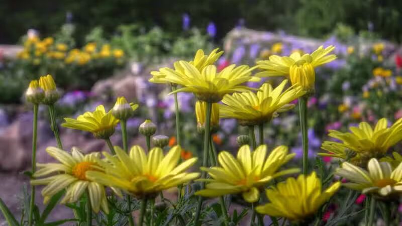 Walking Trail - Columbiana, OH