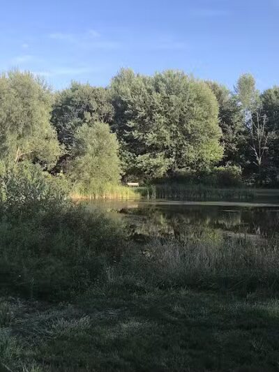 Walking Trail - Columbiana, OH