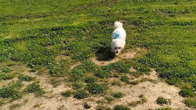 Columbus City Dog Park - Columbus, GA