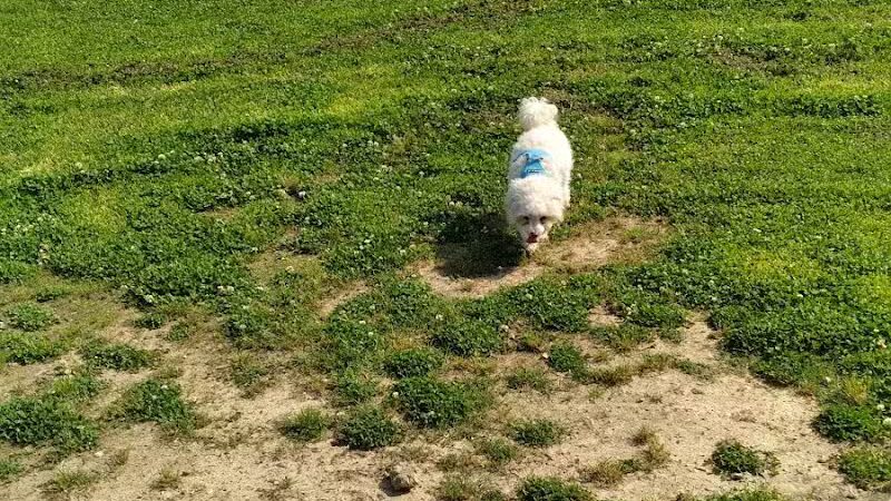 Columbus City Dog Park - Columbus, GA