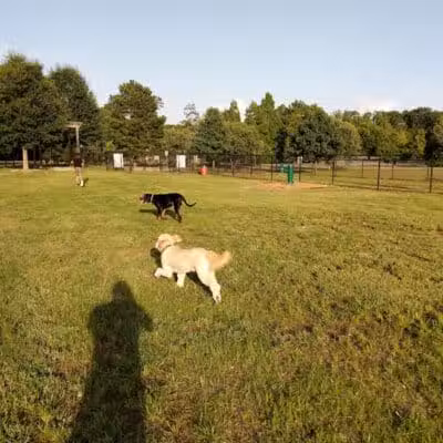 Columbus City Dog Park - Columbus, GA