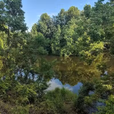 Columbus City Dog Park - Columbus, GA