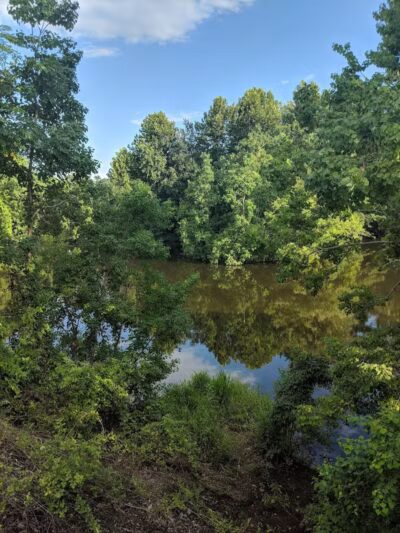 Columbus City Dog Park - Columbus, GA