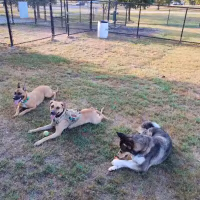 Columbus City Dog Park - Columbus, GA
