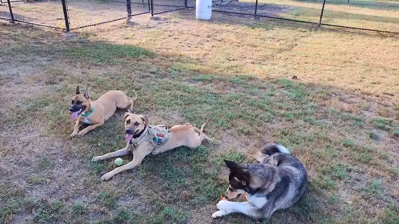 Columbus City Dog Park - Columbus, GA