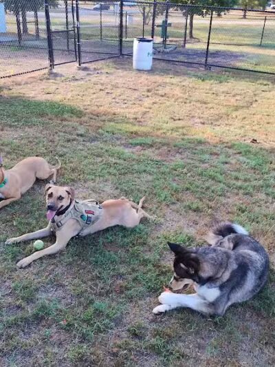 Columbus City Dog Park - Columbus, GA