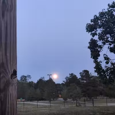 Columbus City Dog Park - Columbus, GA