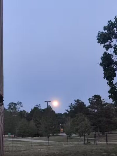 Columbus City Dog Park - Columbus, GA