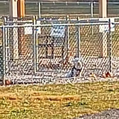 Mansfield Bark Park - Columbus, NJ