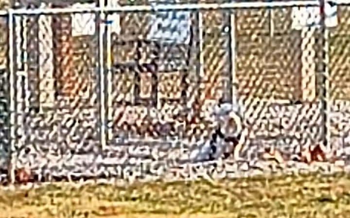 Mansfield Bark Park - Columbus, NJ