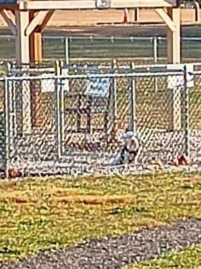 Mansfield Bark Park - Columbus, NJ
