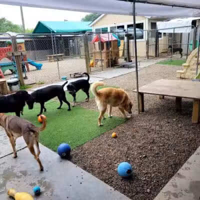 AOKO-K9 Connections - Columbus, OH