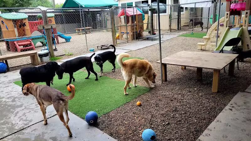 AOKO-K9 Connections - Columbus, OH