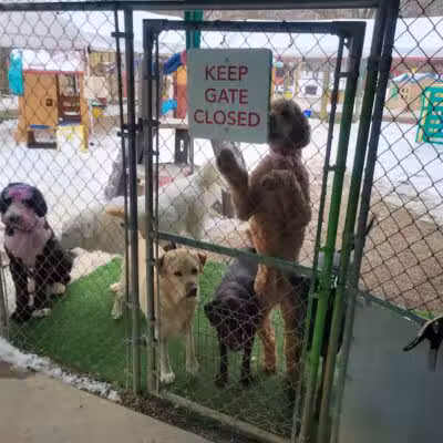 AOKO-K9 Connections - Columbus, OH