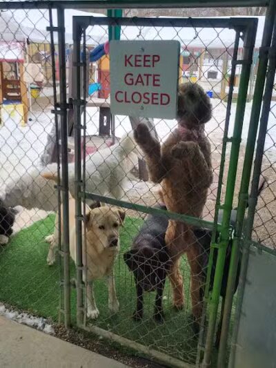 AOKO-K9 Connections - Columbus, OH