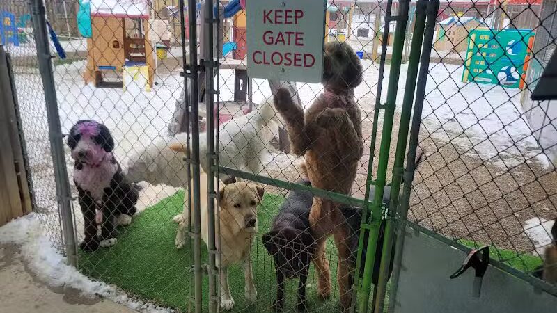 AOKO-K9 Connections - Columbus, OH