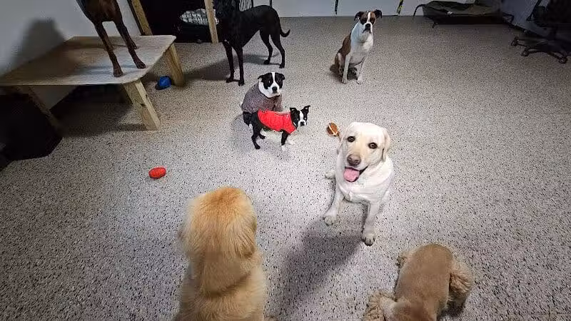 AOKO-K9 Connections - Columbus, OH