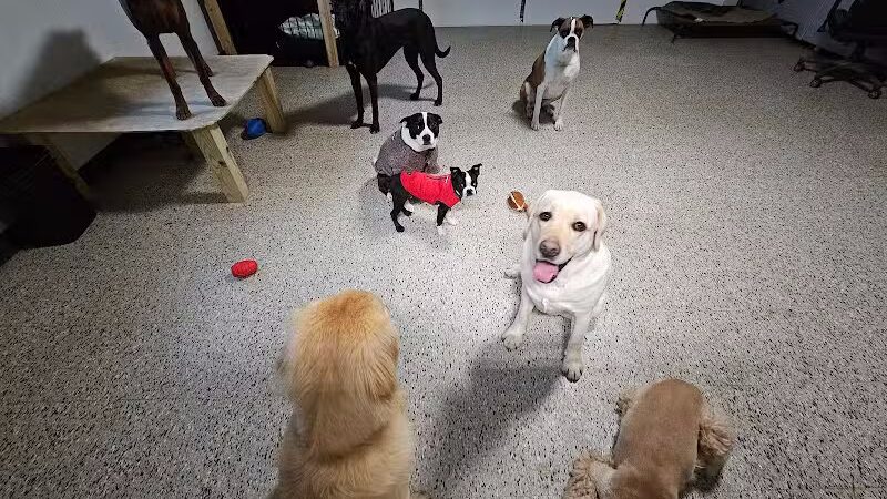 AOKO-K9 Connections - Columbus, OH