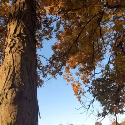 Audubon Park - Columbus, OH