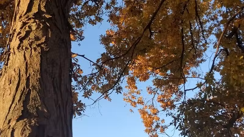 Audubon Park - Columbus, OH