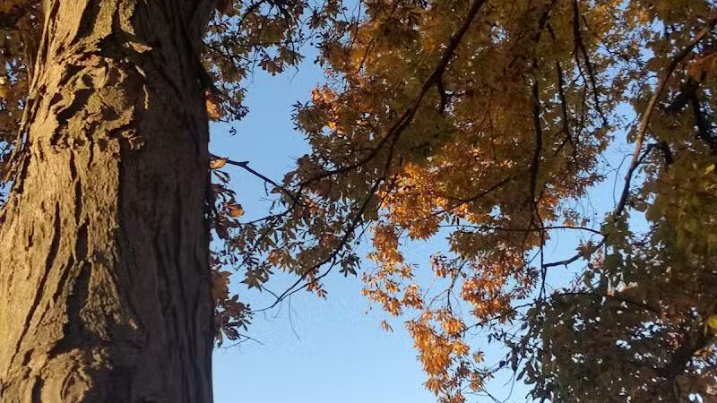 Audubon Park - Columbus, OH