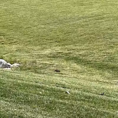 Audubon Park - Columbus, OH