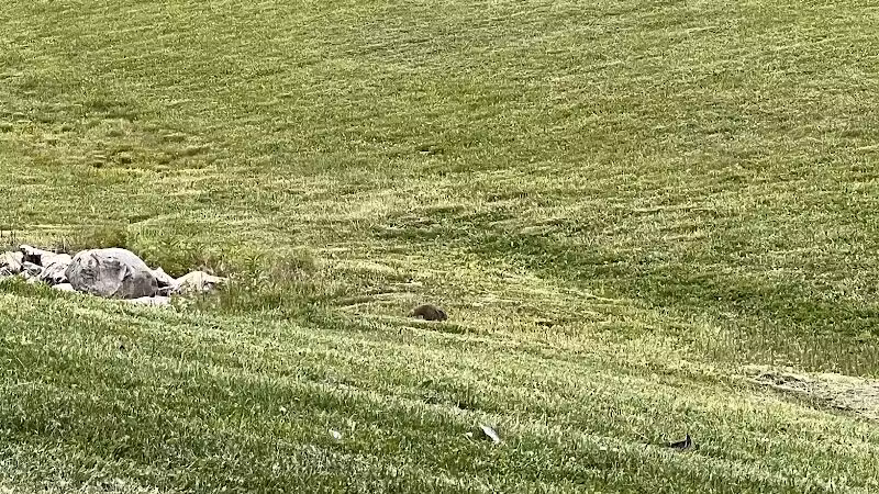 Audubon Park - Columbus, OH