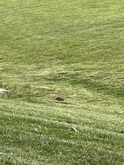 Audubon Park - Columbus, OH