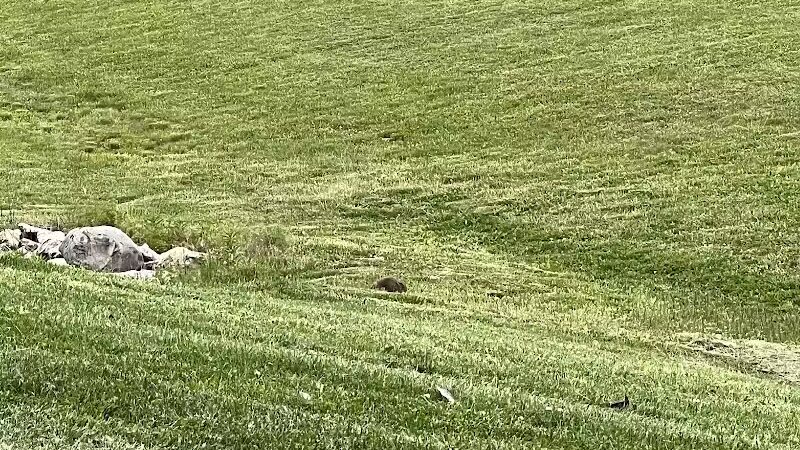 Audubon Park - Columbus, OH