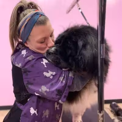 Barkin Dogs & Waggin Tails Pet Salon - Columbus, OH