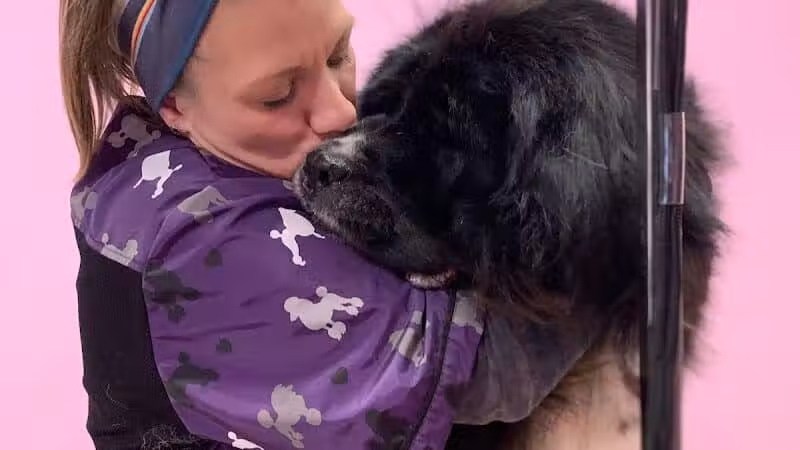 Barkin Dogs & Waggin Tails Pet Salon - Columbus, OH