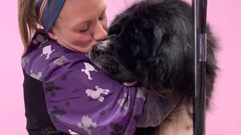 Barkin Dogs & Waggin Tails Pet Salon - Columbus, OH