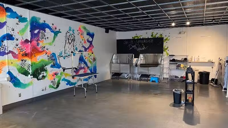 Barks and Rec - Columbus, OH