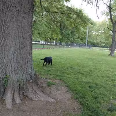Big Walnut Park - Columbus, OH